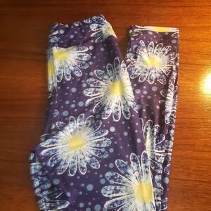 Tween Size Fabulegs Daisiy Pattern Leggings